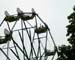 AXFerrisWheel1
