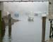 BCPerkinsFog